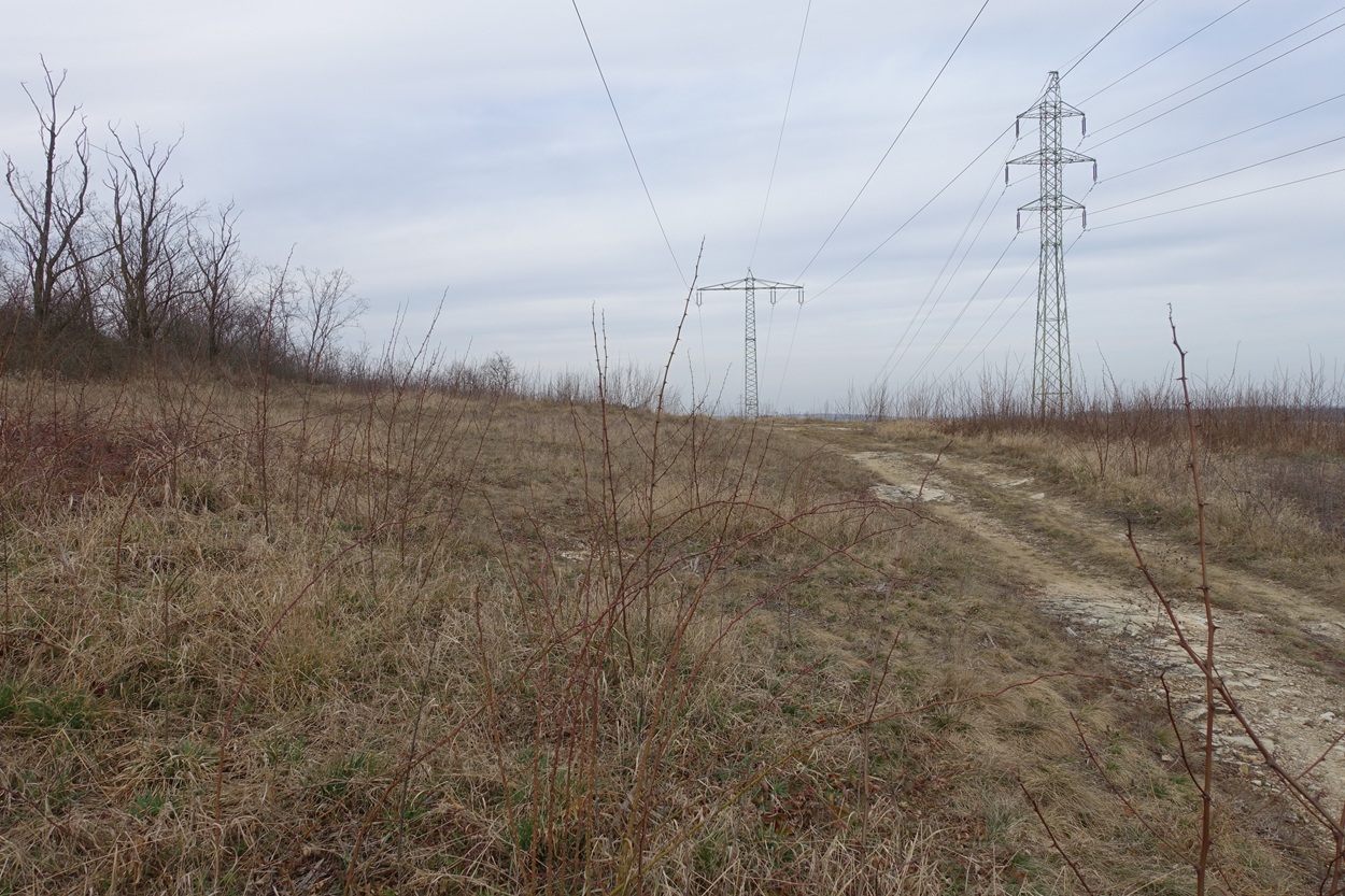 EGD 110 kV
