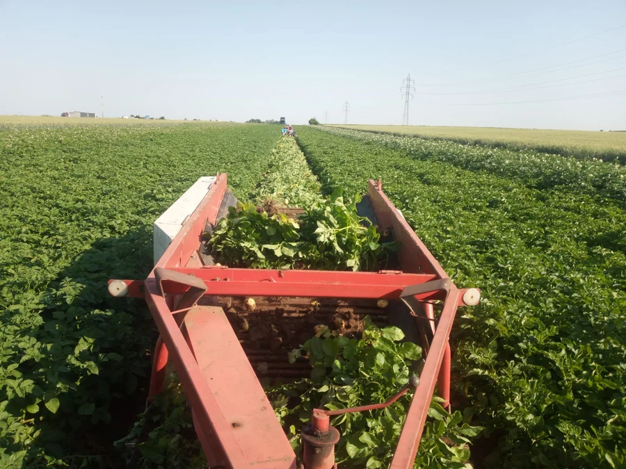 Breagro Král s.r.o.