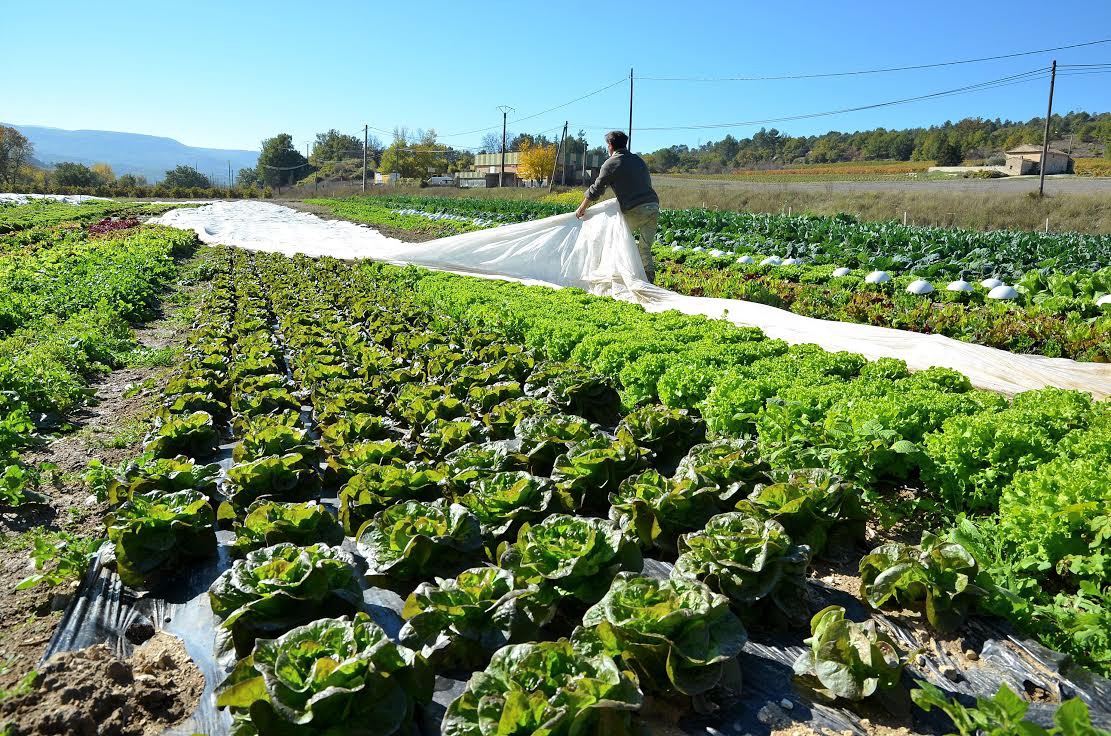 AM'APT Association d'aide au maintien de l'agriculture paysanne produits biologiques