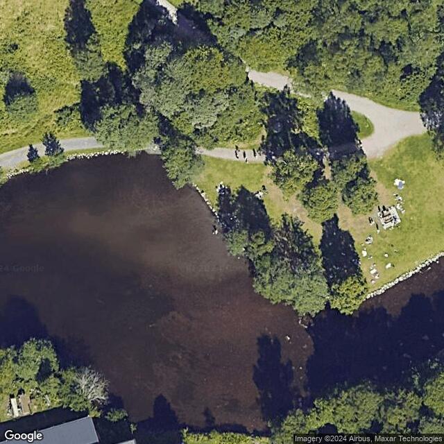 Frysja