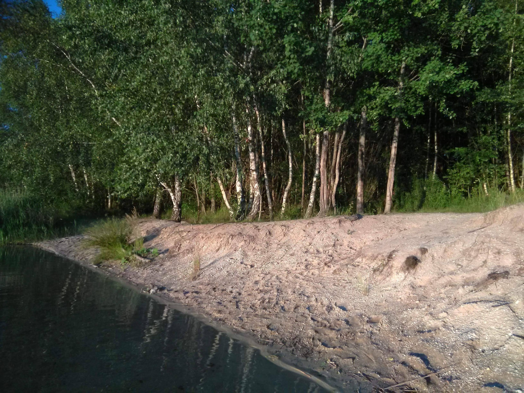 Majdalenská pískovna