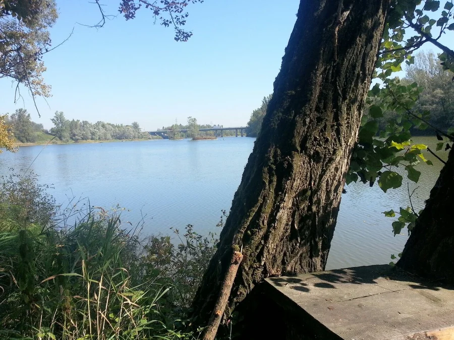 Mžíkovec