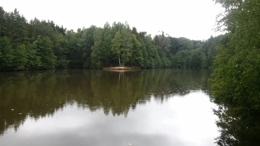 Strženka