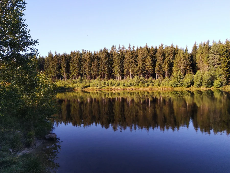 Liščí jezero