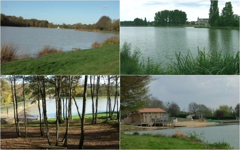 Lake in La Puye