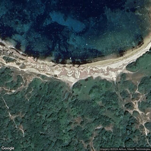 Sarti