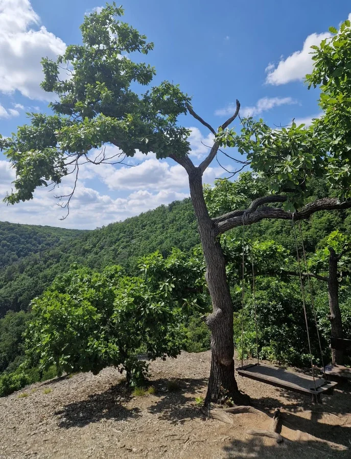 Swing at Na Špicce Viewpoint