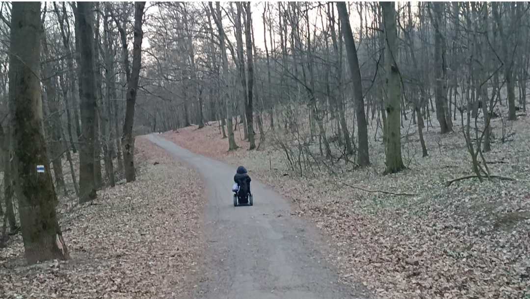 Lesná cesticka