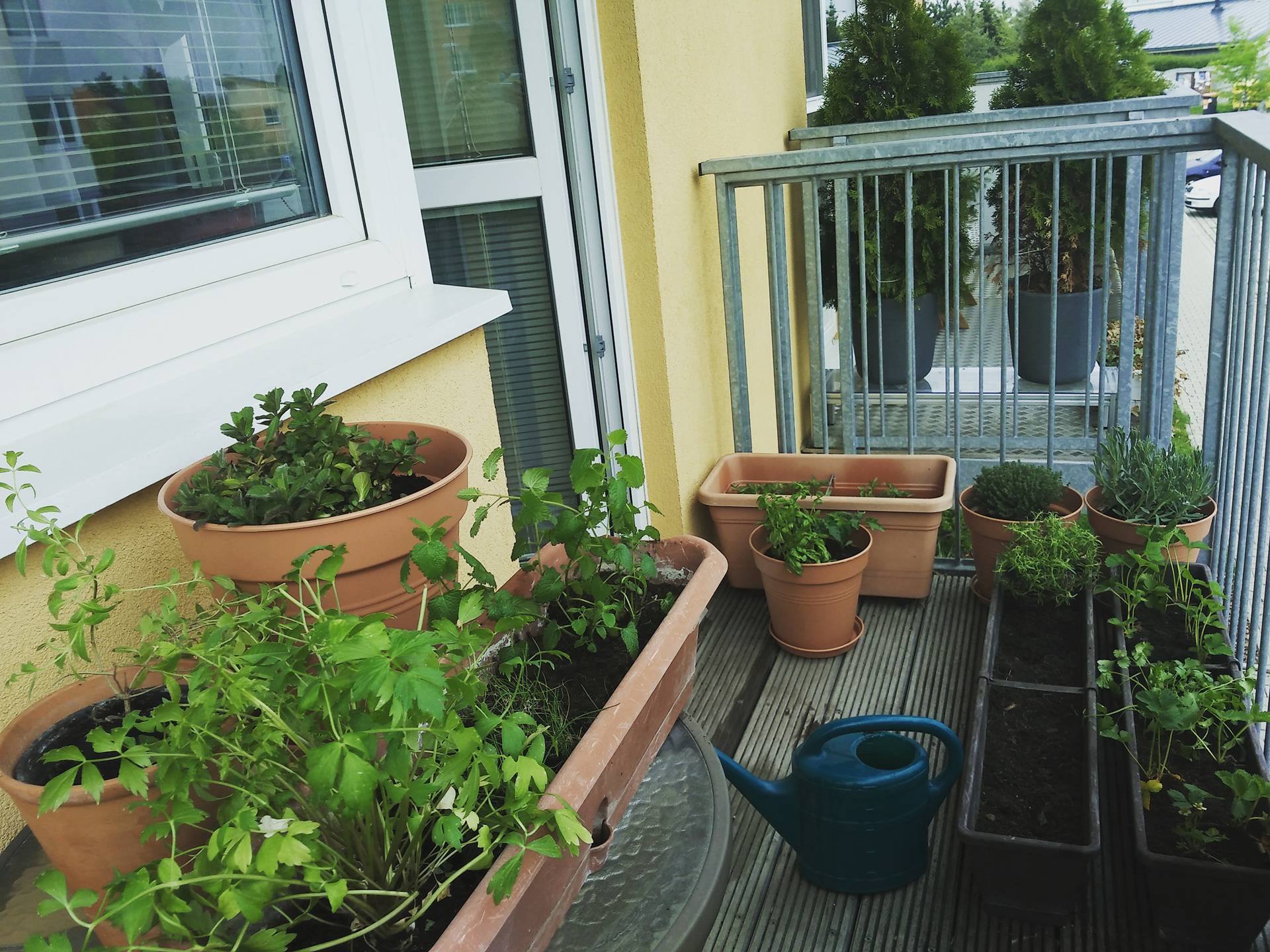 Balkon plný radosti