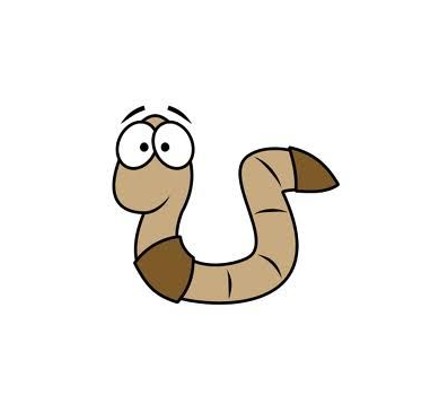 Malířská worms