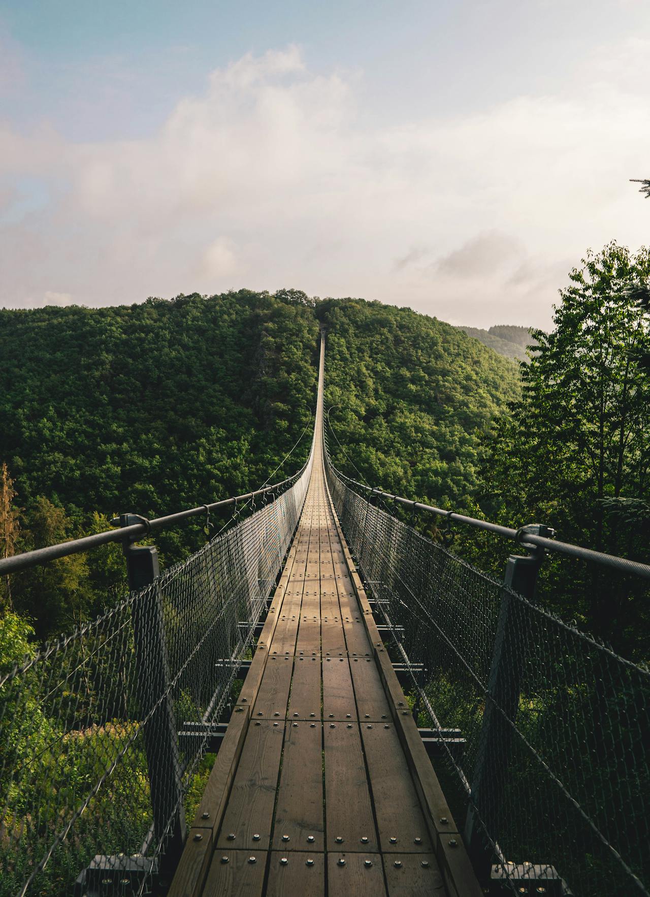 Visutý most Geierlay Hängeseilbrücke