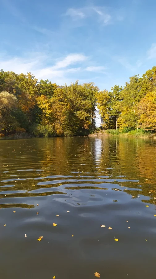 Opatovický rybník