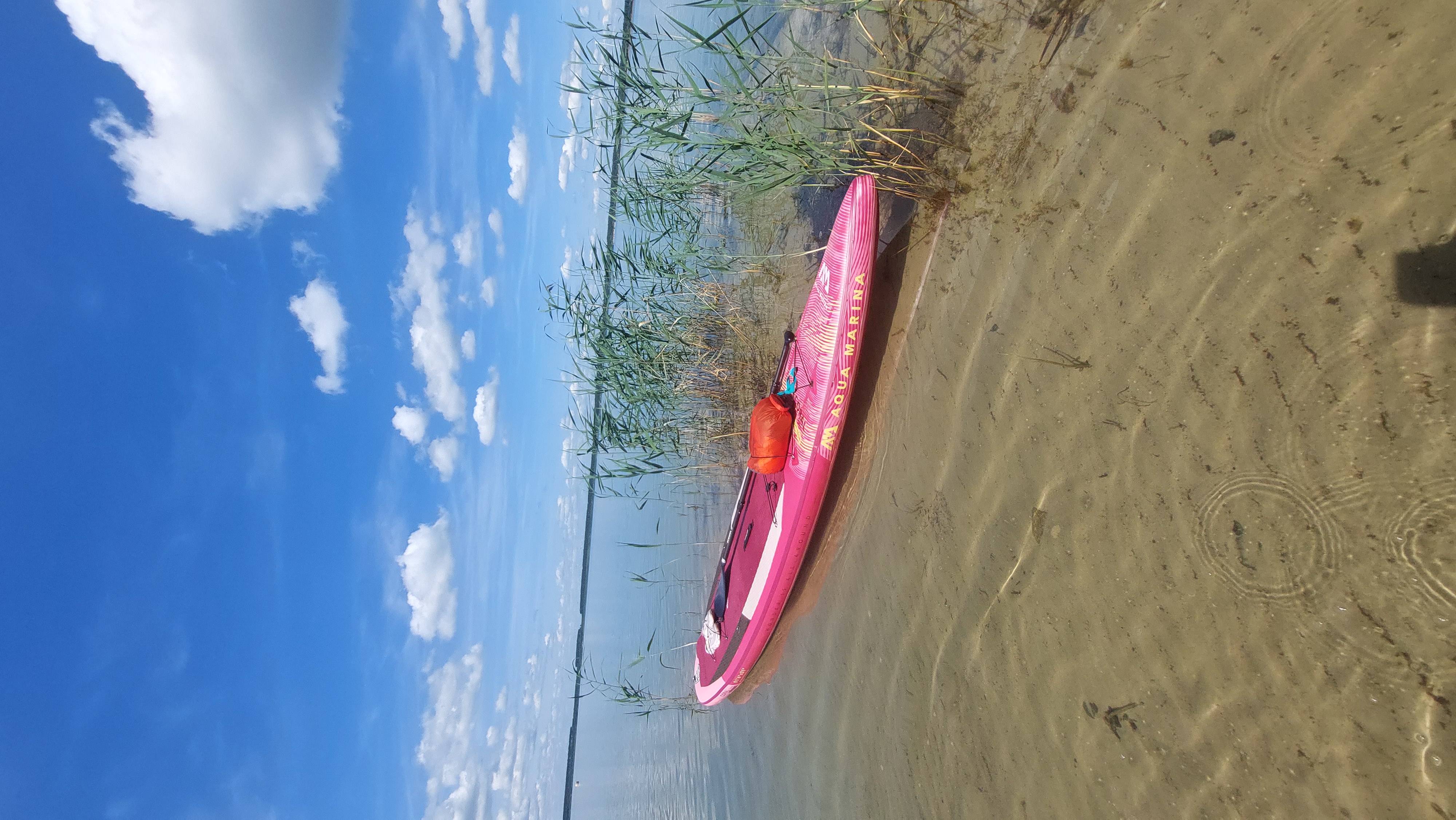 Partwitzer see