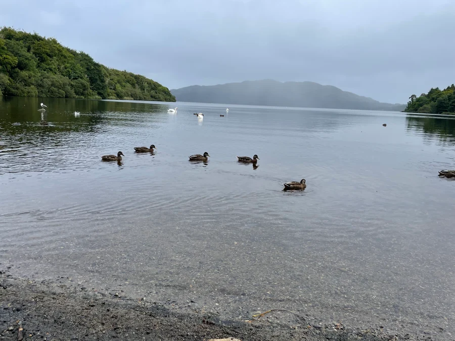 Lough Gill
