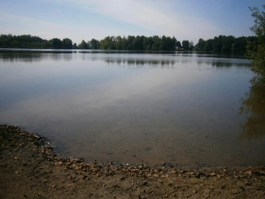 Novorolský rybník